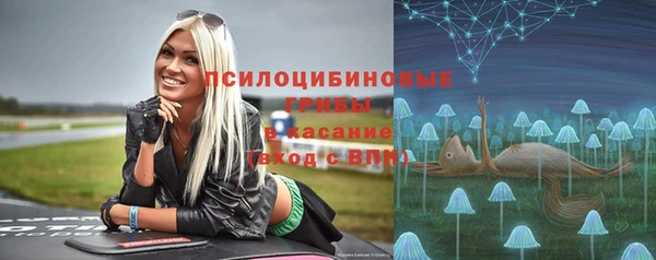 трава Баксан