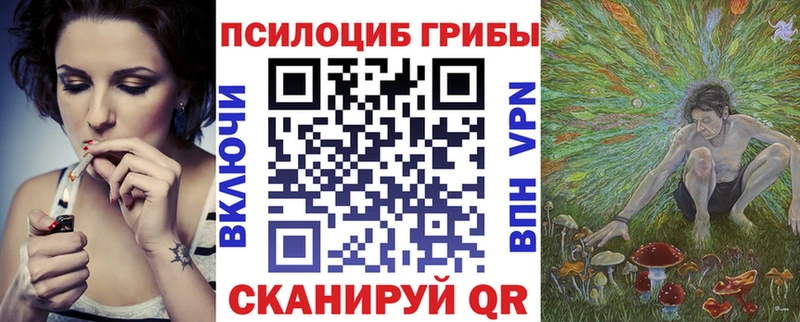 Псилоцибиновые грибы Psilocybe  Купить закладки  Грязовец 