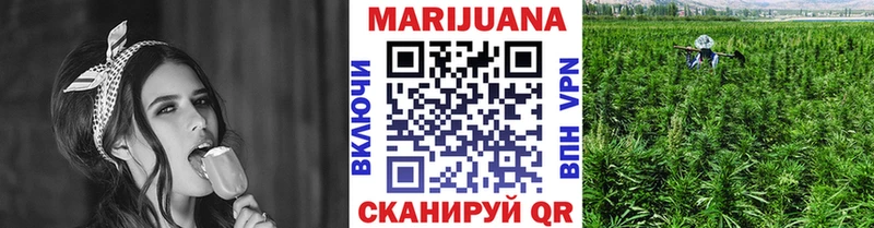 Каннабис гибрид  Купить закладки  Грязовец 